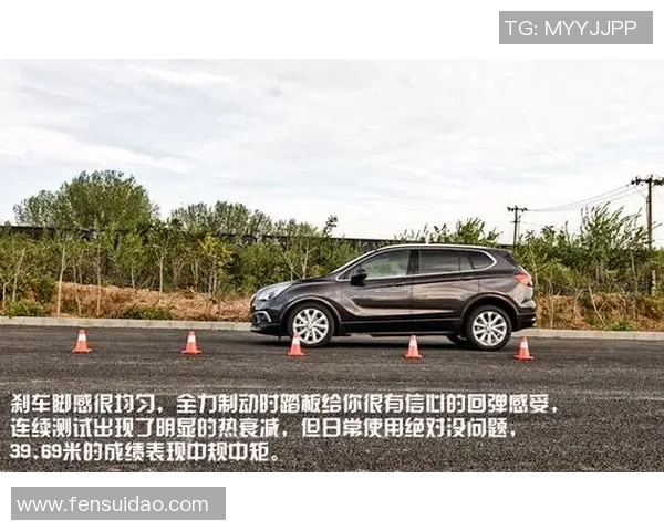 职业联赛分析：V5在耐力赛中的出色表现与未来发展潜力探讨