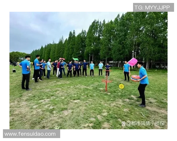 飞盘技术的深度剖析与杭州飞盘队的成长之路